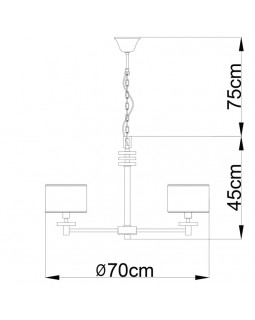 Подвесная люстра ARTE Lamp A3990LM-6CC-foto4