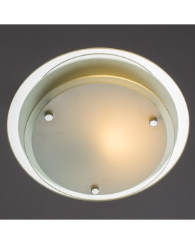 Накладной светильник ARTE Lamp A4867PL-1CC-foto2