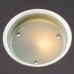 Накладной светильник ARTE Lamp A4867PL-1CC