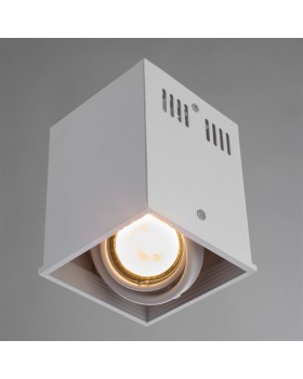 Накладной светильник ARTE Lamp A5942PL-1WH-foto2