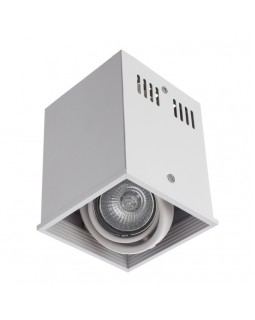 Накладной светильник ARTE Lamp A5942PL-1WH-foto3