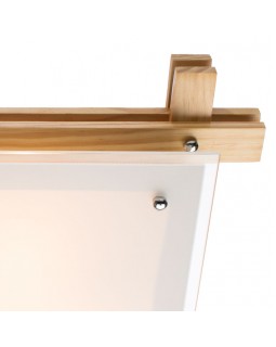 Накладной светильник ARTE Lamp A6460PL-3BR-foto3