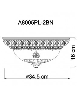 Накладной светильник ARTE Lamp A8005PL-2BN-foto4