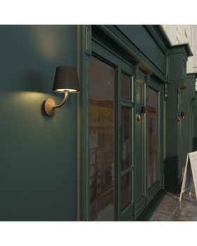 Светильник настенный Odeon Light 4608/7WL-foto4