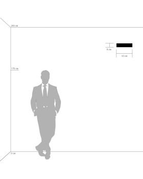 Бра Lightstar 810617-foto5