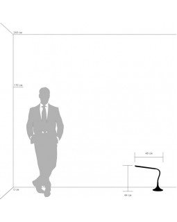 Настольная лампа Lightstar 808917-foto4