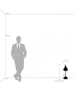 Настольная лампа Lightstar 765916-foto3