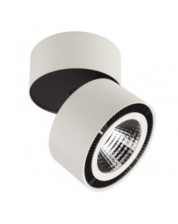 Накладной светильник Lightstar 213850-foto2