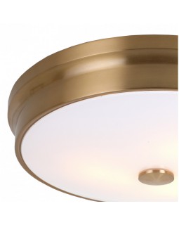 Накладной светильник Favourite 2375-3C-foto2