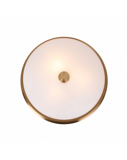 Накладной светильник Favourite 2375-3C-foto3