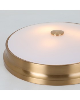 Накладной светильник Favourite 2375-3C-foto4