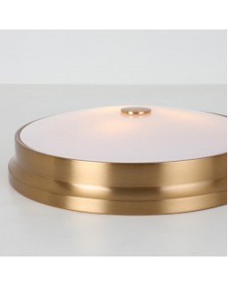 Накладной светильник Favourite 2375-3C-foto5