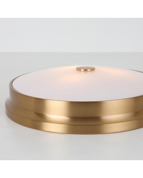 Накладной светильник Favourite 2375-3C-foto5