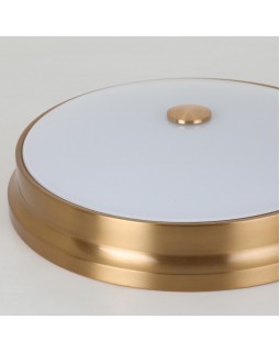 Накладной светильник Favourite 2375-3C-foto6