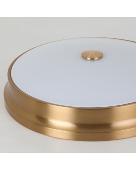 Накладной светильник Favourite 2375-3C-foto6