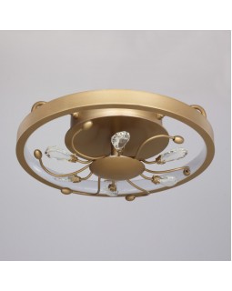 Накладной светильник Favourite 2534-2C-foto2