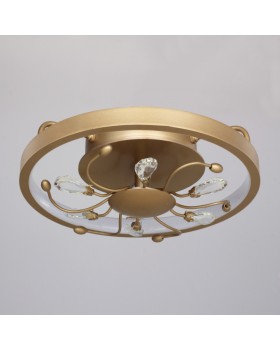 Накладной светильник Favourite 2534-2C-foto2