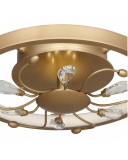 Накладной светильник Favourite 2534-2C-foto3