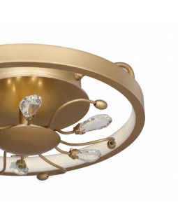 Накладной светильник Favourite 2534-2C-foto4