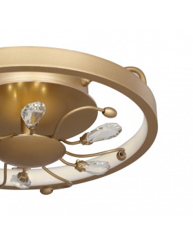 Накладной светильник Favourite 2534-2C-foto4