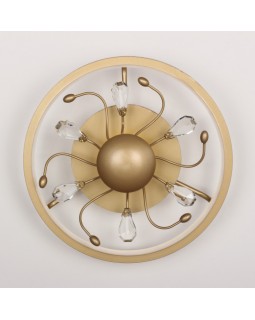 Накладной светильник Favourite 2534-2C-foto5