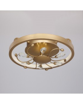 Накладной светильник Favourite 2534-2C-foto6