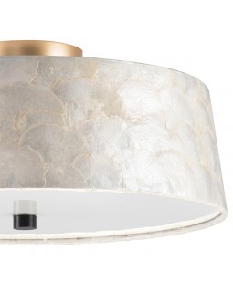 Накладная люстра Lightstar 707261-foto2