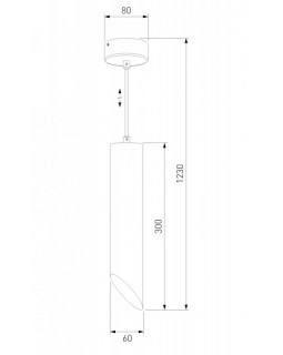 Подвесной светильник Elektrostandard 7011 MR16 WH/GD белый/золото-foto4