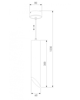 Подвесной светильник Elektrostandard 7011 MR16 WH/GD белый/золото-foto4