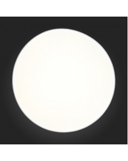 Накладной светильник ST-Luce SL417.512.01-foto4