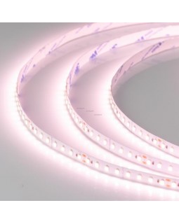 Лента Arlight 028745-foto2