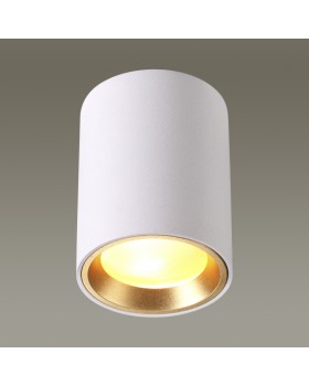 Накладной светильник Odeon Light 4206/1C-foto2