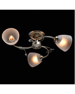 Люстра на штанге DeMarkt 676014003-foto2