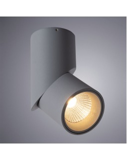 Накладной светильник ARTE Lamp A7717PL-1GY-foto2