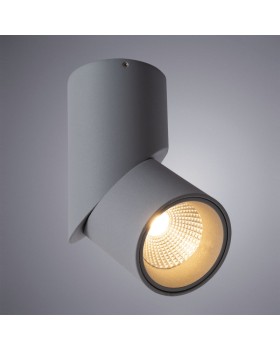 Накладной светильник ARTE Lamp A7717PL-1GY-foto2