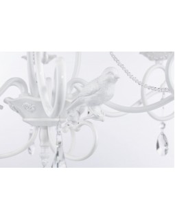 Подвесная люстра Maytoni ARM001-06-W-foto3