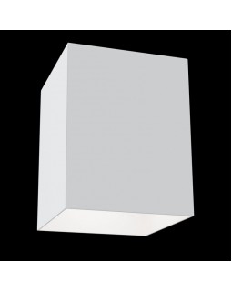 Накладной светильник Maytoni Technical C015CL-01W-foto2