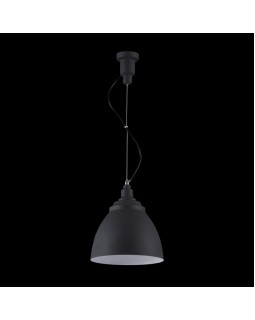 Подвесной светильник Maytoni P534PL-01B-foto3