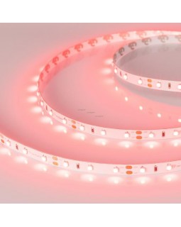 Лента Arlight 010526(1)-foto2