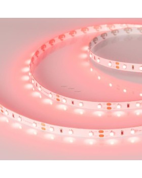 Лента Arlight 010526(1)-foto2