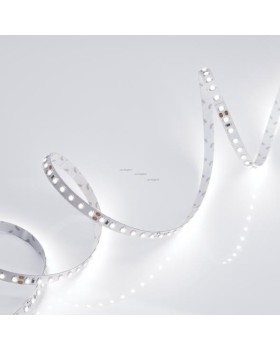 Лента Arlight 010347(B)-foto2