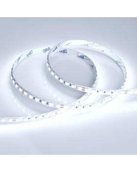 Лента Arlight 018731-foto2