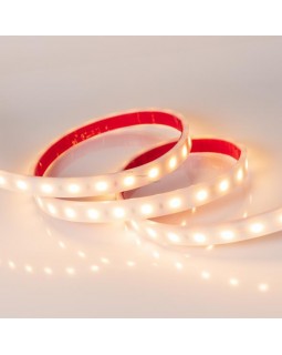 Лента Arlight 016171-foto2