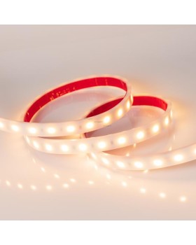 Лента Arlight 016171-foto2