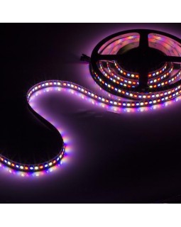 Лента Arlight 017738(1)-foto2