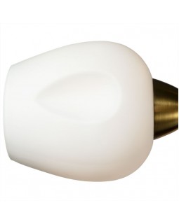 Накладная люстра ARTE Lamp A2706PL-5CK-foto3