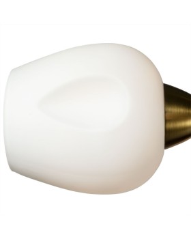 Накладная люстра ARTE Lamp A2706PL-5CK-foto3