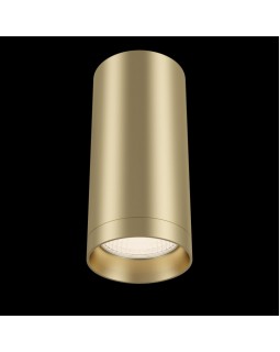 Накладной светильник Maytoni Technical C010CL-01MG-foto2