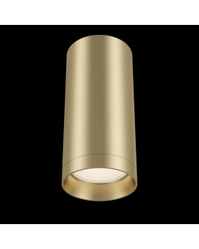 Накладной светильник Maytoni Technical C010CL-01MG-foto2