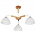 Люстра на штанге ARTE Lamp A5032PL-3BR